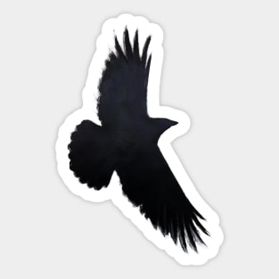 Raven silhouette Sticker